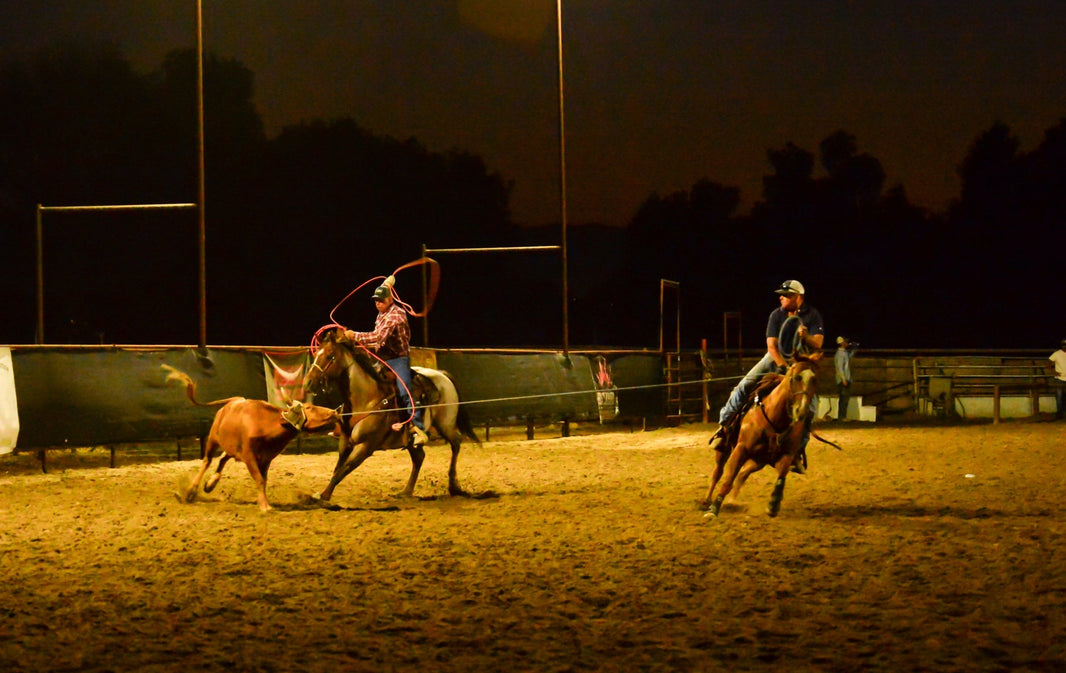 Charlie Five: Earned, Not Given — A Different Standard in Equine Placement for Veterans and First Responders