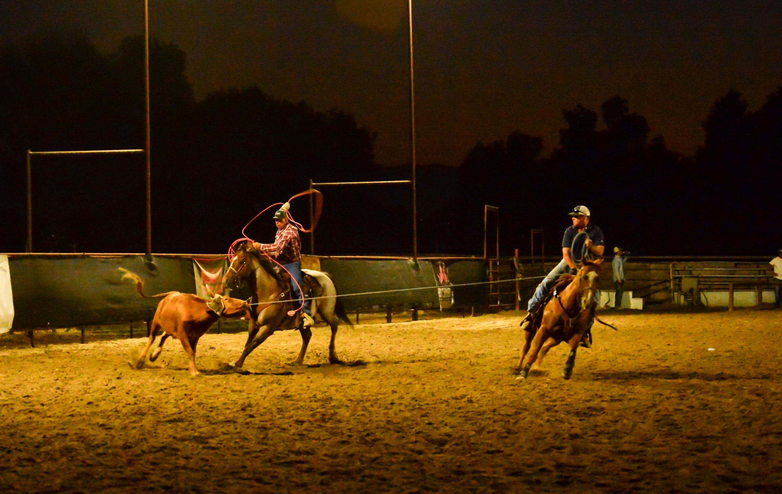 Charlie Five: Earned, Not Given — A Different Standard in Equine Placement for Veterans and First Responders